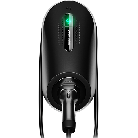 Zappi GLO