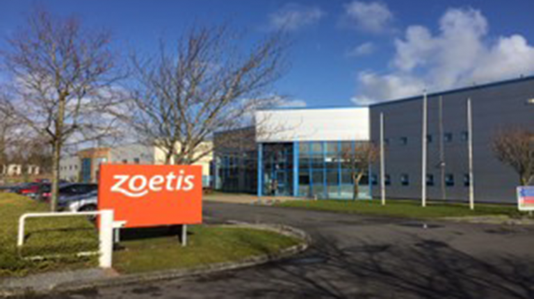 Scaffolding And Alternative Access For Zoetis Manufacturing Plant | Actavo